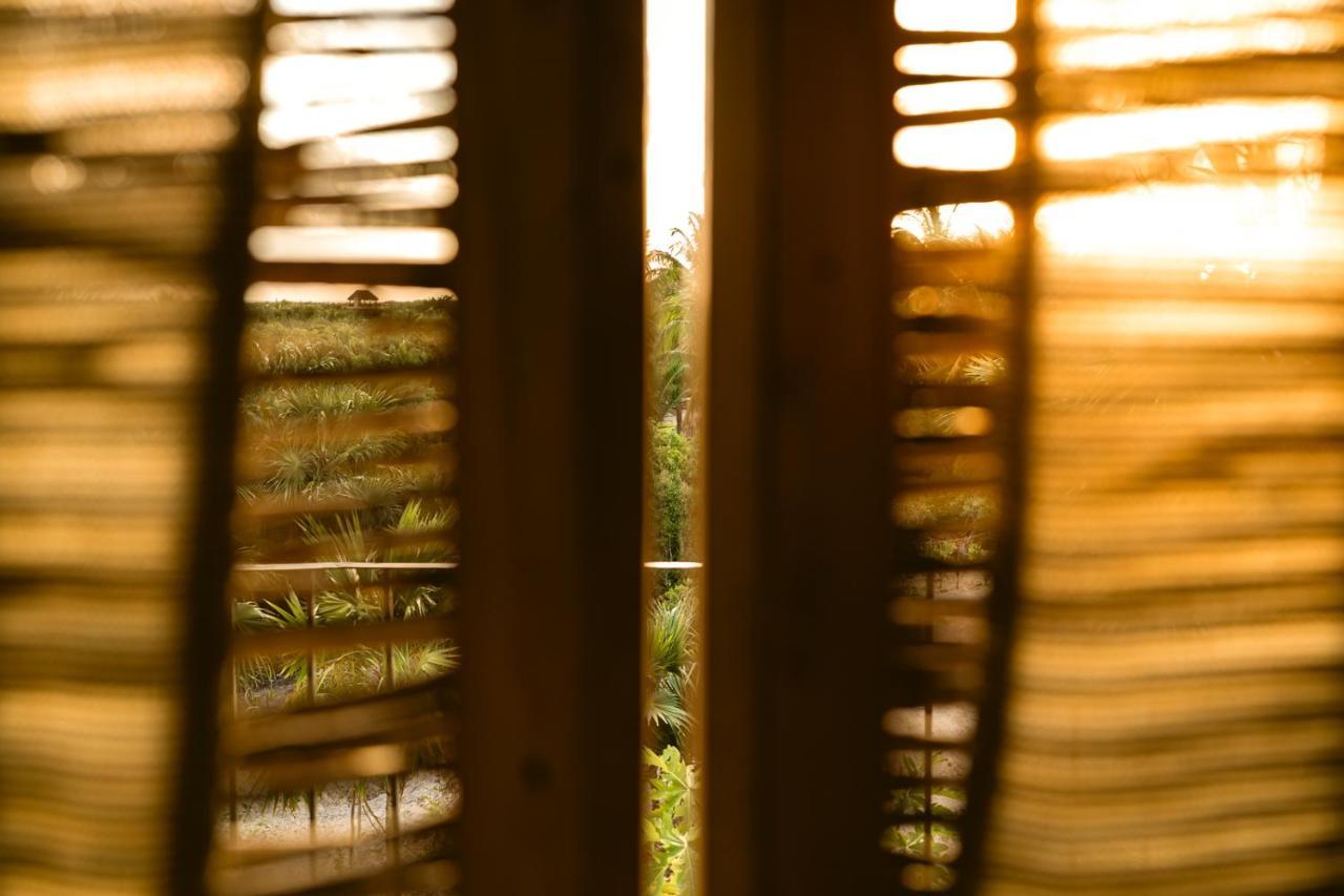 Casa Mia El Cuyo Eco Beach Boutique Hotel Luaran gambar